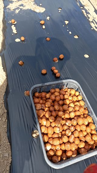 까두까두 님의 기타작물 · 자유게시판 작성글 사진