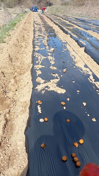 까두까두 님의 기타작물 · 자유게시판 작성글 사진