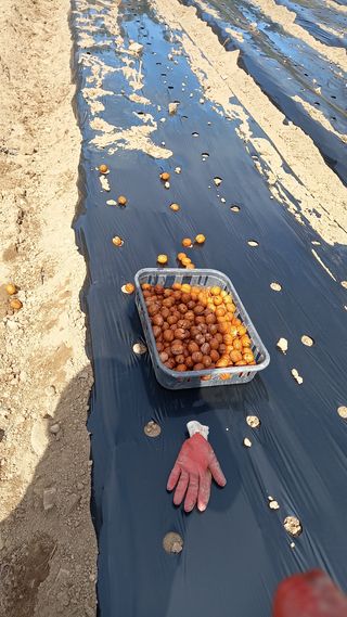 까두까두 님의 기타작물 · 자유게시판 작성글 사진