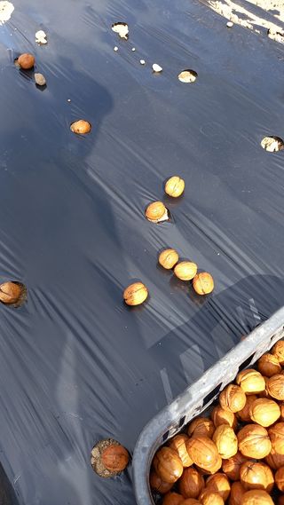 까두까두 님의 기타작물 · 자유게시판 작성글 사진