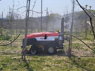 갈마골님의 사과 · 비료•농약 작성글 사진