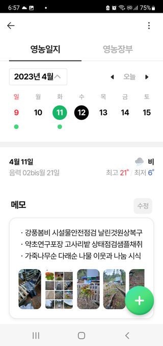 박¿일님의 두릅 · 일상 작성글 사진