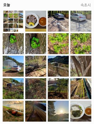 박¿일님의 두릅 · 일상 작성글 사진