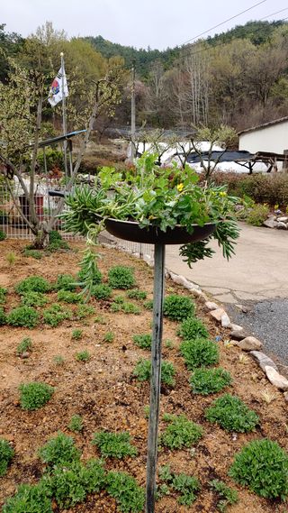 이용일님의 우리동네 · 동네자랑 작성글 사진