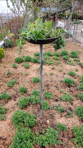 이용일님의 우리동네 · 동네자랑 작성글 사진