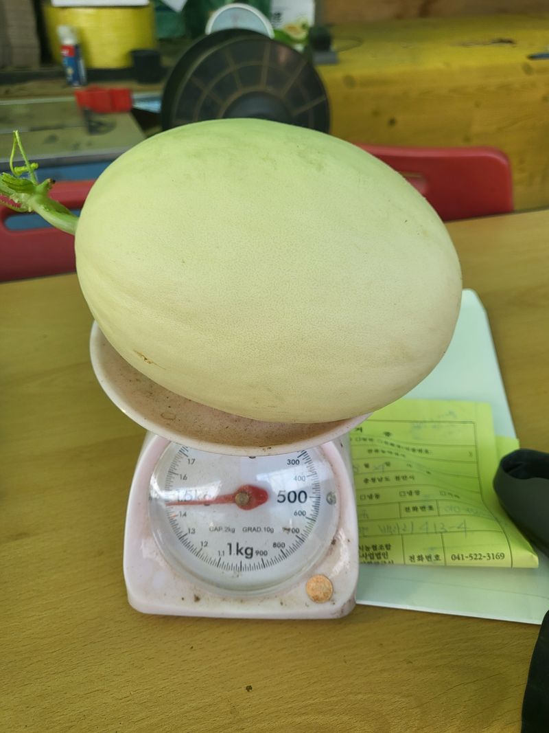 장터 상품 [홈런 스타 4키로 ] 썸네일