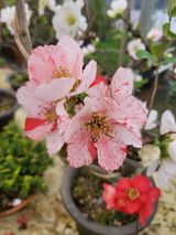 팜모닝 자유주제·자유게시판 게시글 이미지