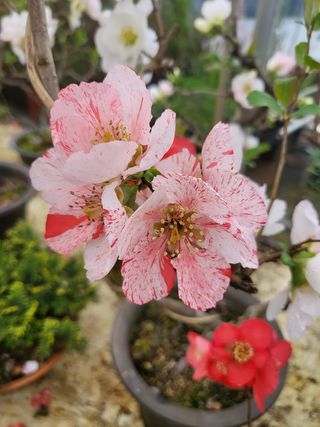 김옥균 님의 자유주제 · 자유게시판 작성글 사진