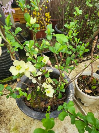 김옥균 님의 자유주제 · 자유게시판 작성글 사진