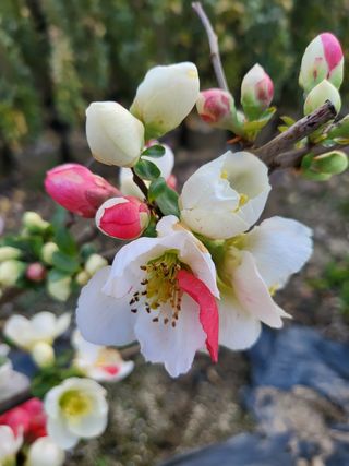 김옥균 님의 자유주제 · 자유게시판 작성글 사진