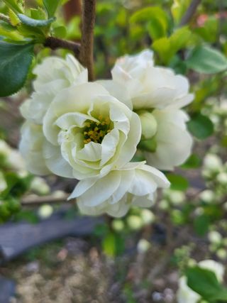 김옥균 님의 자유주제 · 자유게시판 작성글 사진