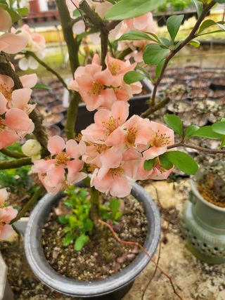 김옥균 님의 자유주제 · 자유게시판 작성글 사진