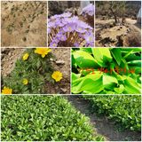 팜모닝 블루베리·자유게시판 게시글 이미지