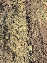 팜모닝 자유주제·자유게시판 게시글 이미지