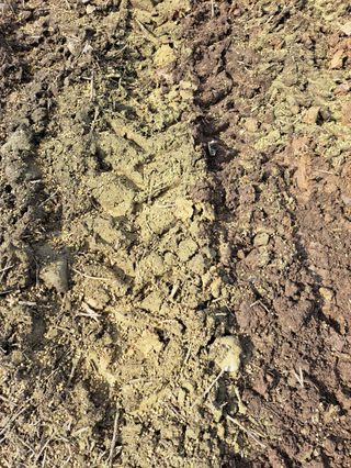 피롤땅지기님의 자유주제 · 자유게시판 작성글 사진