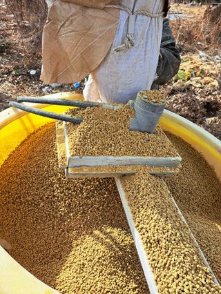 피롤땅지기님의 자유주제 · 자유게시판 작성글 사진