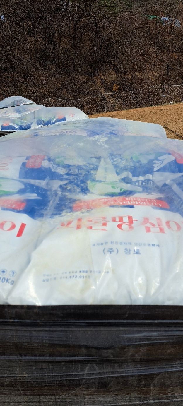 상상그이상님의 장터 판매 상품 [피롤땅심이 ] 첨부 사진