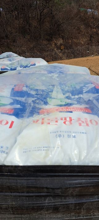 상상그이상님의 작성글 사진