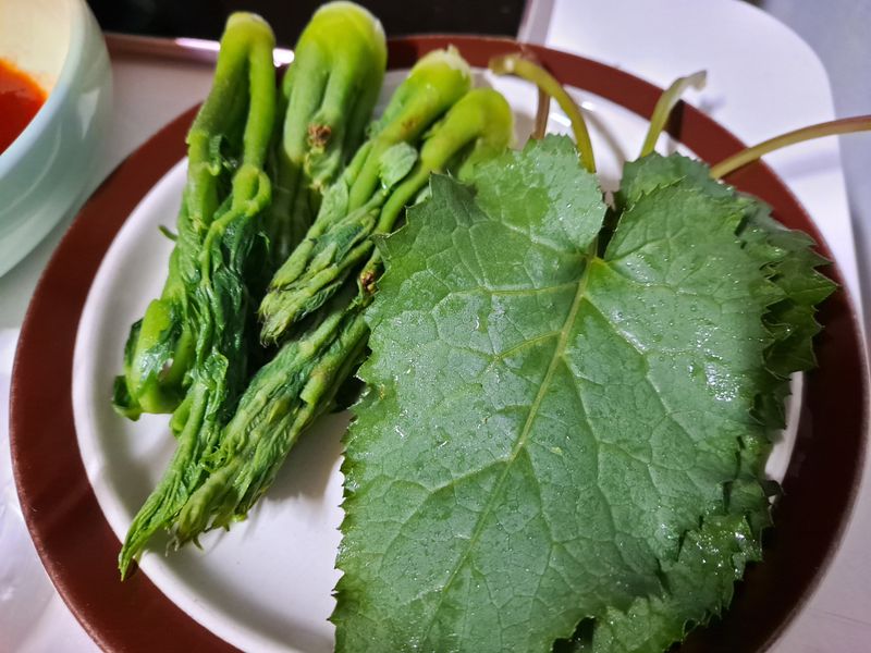 장터 상품 [두릅나무 정아순 300g] 썸네일