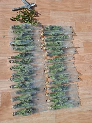 이상헌님의 작성글 사진