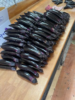 이승하님의 기타작물 · 자유게시판 작성글 사진