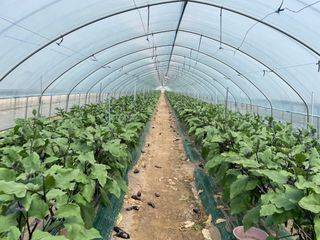 이승하님의 기타작물 · 자유게시판 작성글 사진