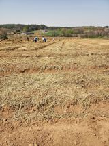 팜모닝 기타작물·자유게시판 게시글 이미지