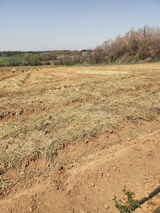 it농부님의 기타작물 · 자유게시판 작성글 사진