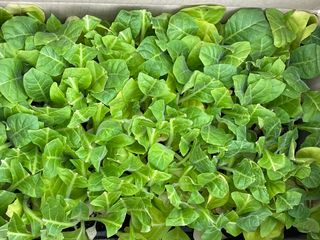 이승하님의 기타작물 · 자유게시판 작성글 사진