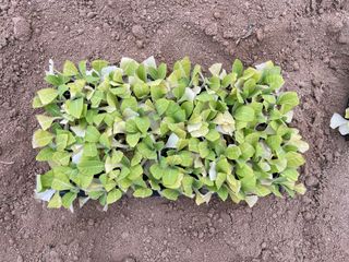 이승하님의 기타작물 · 자유게시판 작성글 사진