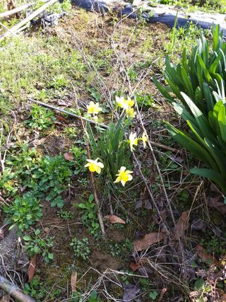 초원농원님의 자유주제 · 자유게시판 작성글 사진