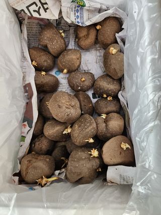  청계유정란 박진균님의 우리동네 · 무료나눔 작성글 사진