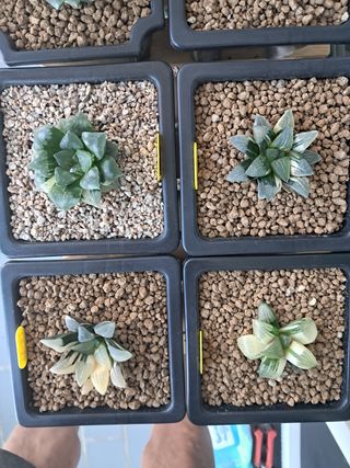 박완순님의 자유주제 · 자유게시판 작성글 사진