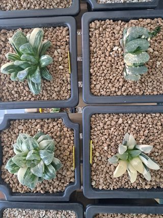 박완순님의 자유주제 · 자유게시판 작성글 사진