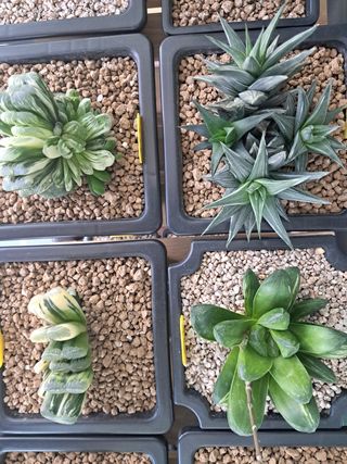 박완순님의 자유주제 · 자유게시판 작성글 사진