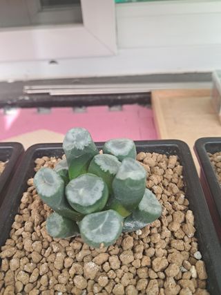 박완순님의 자유주제 · 자유게시판 작성글 사진