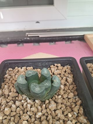 박완순님의 자유주제 · 자유게시판 작성글 사진