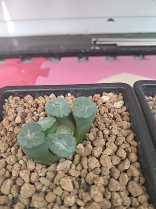 박완순님의 자유주제 · 자유게시판 작성글 사진