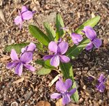 팜모닝 자유주제·자유게시판 게시글 이미지