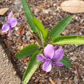 심규영님의 자유주제 · 자유게시판 작성글 사진