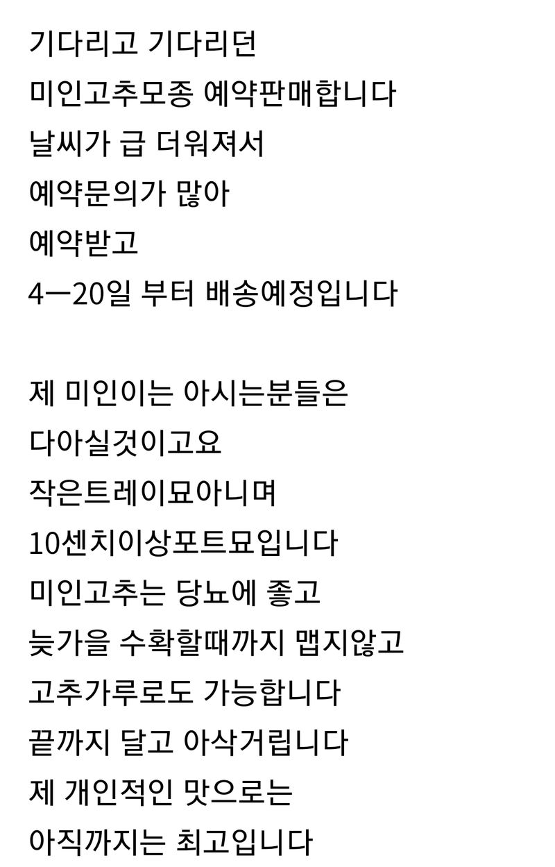 장터 상품 [(완료)큰포트 미인고추모종 예약판매] 썸네일