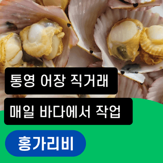 test2022101920님의 장터이야기 · 자유게시판 작성글 사진