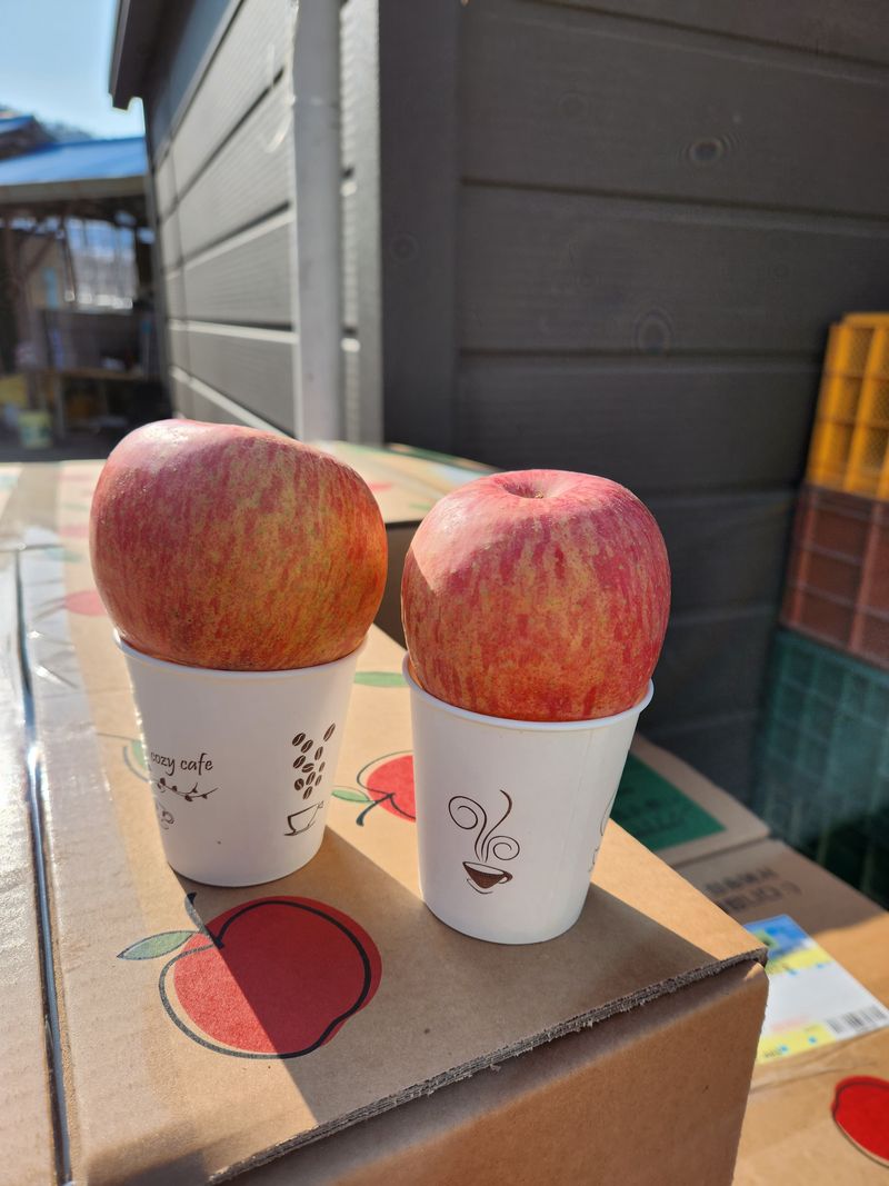 이원정님의 장터 판매 상품 [사과즙이여요2박스] 첨부 사진