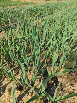 김세진님의 자유주제 · 자유게시판 작성글 사진