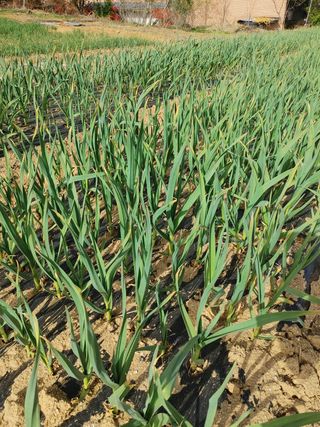 김세진님의 자유주제 · 자유게시판 작성글 사진