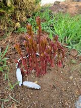 팜모닝 우리동네·동네자랑 게시글 이미지