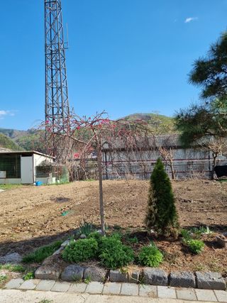 아름다운초옥농원님의 우리동네 · 동네자랑 작성글 사진