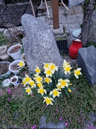 아름다운초옥농원님의 우리동네 · 동네자랑 작성글 사진