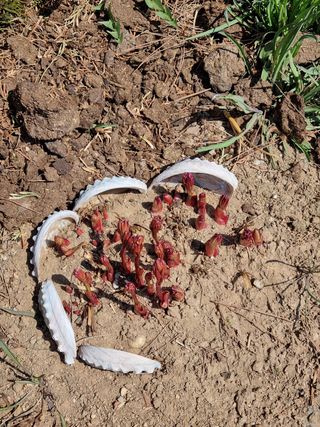 아름다운초옥농원님의 우리동네 · 동네자랑 작성글 사진