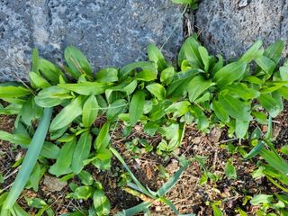 아름다운초옥농원님의 우리동네 · 동네자랑 작성글 사진